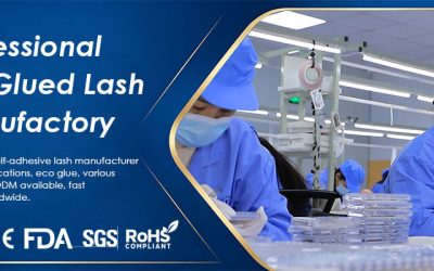 Blogs 1 ISO9001 Lashes Factory The Best Pre Glued Lashes Supplier